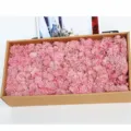 Boxed preserved pink moss flower material for home decor, moss wall DIY and crafts projects. - Pink