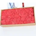 Preserved red moss boxed 500g for home decor DIY moss wall coral grass floral supplies - Red
