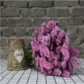 Pink statice dried flowers bouquet natural botanical floral decor for romantic gift and home interior - Pink