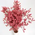Pink dried crystal grass flowers bouquet home decor photography props details view - Pink