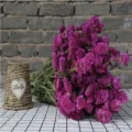 Purple statice dried flowers bouquet, natural floral arrangement for home decor gifts. - Peach Red