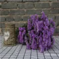 Purple statice dried flower bouquet for home decoration, romantic Valentine gift floral arrangement. - Light Purple