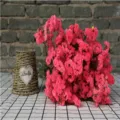 Bouquet di fiori secchi statice rosa per decorazione domestica, matrimonio e San Valentino. - Rosa