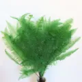 Foglie di felce artificiali steli di piante verdi per decorazioni floreali domestiche. - Verde