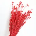 Bouquet di fiori secchi rossi baccelli di lino decorazione vegetale naturale per la casa - Rosso