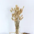 Bouquet di fiori secchi coda di coniglio in vaso di vetro con base a stella dorata. - Lagurus naturale, 30 pz.