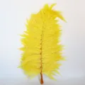 Foglia di felce preservata gialla per composizioni floreali fai-da-te, decorazioni e scatole regalo. - 10 pezzi/fascio / Giallo