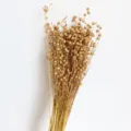 Gold dried flower bunch natural botanical branches plant home decor variant style arrangement - Gold