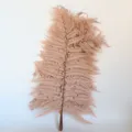Foglie di felce stabilizzate rosa marrone mazzo DIY composizione floreale decoro 1pz - 10 pezzi/fascio / Kaki