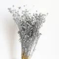 Silver dried flax pods bunch for home decor, natural floral arrangement botanical display. - Silver