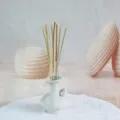 Piccoli fiori di canna secchi con vaso in ceramica bianca per decorazione casa - Piccola erba naturale, 10 pz.