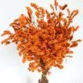 Orange dried crystal grass bouquet natural flowers for home decor photography props. - Orange
