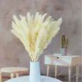 Fiori secchi di erba della pampas naturale in vaso di ceramica bianca per feste. - Bianco sporco 15 pezzi (spighe di fiori circa 25 cm)