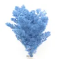 Blue preserved ming fern dried flowers for DIY gift box glass cover floral arrangements. - Haze Blue
