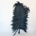 Foglie di felce nera preservate per composizioni floreali fai da te, gonne e decorazioni in vetro. - 10 pezzi/fascio / Nero