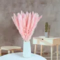 Fiori secchi di erba di pampas rosa in vaso di ceramica bianca variante decorazione - Rosa 15 pezzi (spighe di fiori circa 25 cm)