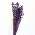 Dried purple flax seed pods botanical floral bouquet for home decor and DIY crafts. - Purple