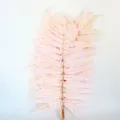 Hoja de helecho rosa preservada material floral DIY para decoración y manualidades. - 10 piezas/manojo / Rosa Claro