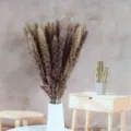 Mazzo di erba della pampas secca naturale soffice decorazione boho per festa casa - Marrone 15 pezzi (spighe di fiori circa 25 cm)