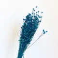 Blue dried flax pods flowers bouquet natural dry plant for home decor floral arrangement - Sapphire Blue