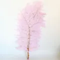 Foglie di felce stabilizzate rosa per composizioni floreali fai da te, scatole regalo e ghirlande. - 10 pezzi/fascio / Viola rosato