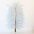 Foglie di felce stabilizzate bianche per composizioni floreali fai da te e decorazioni. - 10 pezzi/fascio / Azzurro