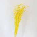 Yellow dried flower bouquet natural plant branches for home decor floral arrangement styling - Yellow
