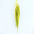 Geconserveerde hangende amarant bloem voor thuis bruiloft decoratie, groene bloem wandopstelling. - Geelgroen