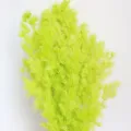 Preserved asparagus fern bright green plant material for DIY floral gift box decoration. - Yellow-Green
