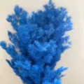Blue preserved asparagus fern flower material, ideal for DIY gift boxes, glass covers, and crafts. - Light Royal Blue