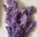Purple preserved pine foliage branches for DIY gift box glass cover flower material arrangement - Grape Purple