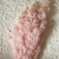 Pink preserved dried flower material for DIY craft, fluffy floral decor and gift box use. - Light Pink