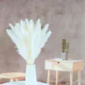 Variante di erba della pampa bianca fiori secchi, soffice decorazione casa per feste. - Bianco sporco 15 pezzi (spighe di fiori 20 cm+)