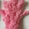 Pink preserved asparagus fern flower branches for DIY gift box glass cover floral arrangements. - Sakura Pink