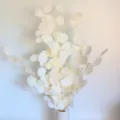 Mazzo di foglie di eucalipto essiccate e sbiancate conservate decorazione per la casa e tavolo - Bianco