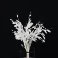 Preserved dried panic grass bouquet in orange color, 10 stems for home decor and floral arrangements. - White