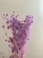 Dried sea holly preserved flowers bouquet, elegant natural purple floral decor for home. - Light Purple