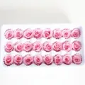 Geconserveerde roze rozenkoppen in witte schaal voor DIY bloemcadeaus, lang houdbaar mooi. - 21 bloemen/doos / Vleesroze