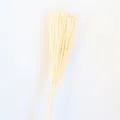 Bouquet di fiori secchi di verga d'oro naturale per decorazione soggiorno stile nordico - Bianco