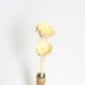 Bouquet di fiori di margherita di sole essiccati naturali in vaso di vetro per arredamento main - 1 pezzo / mazzo / Bianco Candeggiato