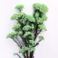 Bellissimo mazzo di fiori di miglio stabilizzati verde chiaro per decorazioni floreali. - Verde