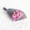 Mini dried crystal grass flower bouquet in pink with grey paper packaging variant - Red (Primary)