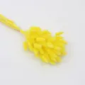 Yellow bunny tail grass dried flower bouquet for home room decor fluffy cute plant stems. - Yellow, 60 Stems