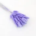 Purple dried bunny tail grass bouquet fluffy lagurus ovatus flowers for home decor DIY - Purple 60 Pieces