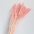 Mazzo di fiori di miglio essiccati rosa per decorazioni per la casa moderne e oggetti di scena - Rosa chiaro