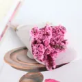 Mini dried flower bouquet pink crystal grass small decorative flower for gift packaging - Preserved Rose Red