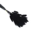 Black dried bunny tail grass bouquet for home decoration and floral arrangement art. - Black 60 Pieces