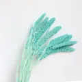 Blue dried foxtail millet flower bouquet, natural plant home decor for photography props. - Tiffany Blue