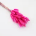 Pink dried rabbit tail grass bouquet, fluffy lagurus ovatus flowers for home decor. - Rose Red 60 Pieces