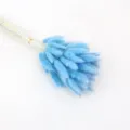 Blue dried bunny tail grass bouquet variant for home decor, natural plant floral arrangement. - Sky Blue 60 Pieces